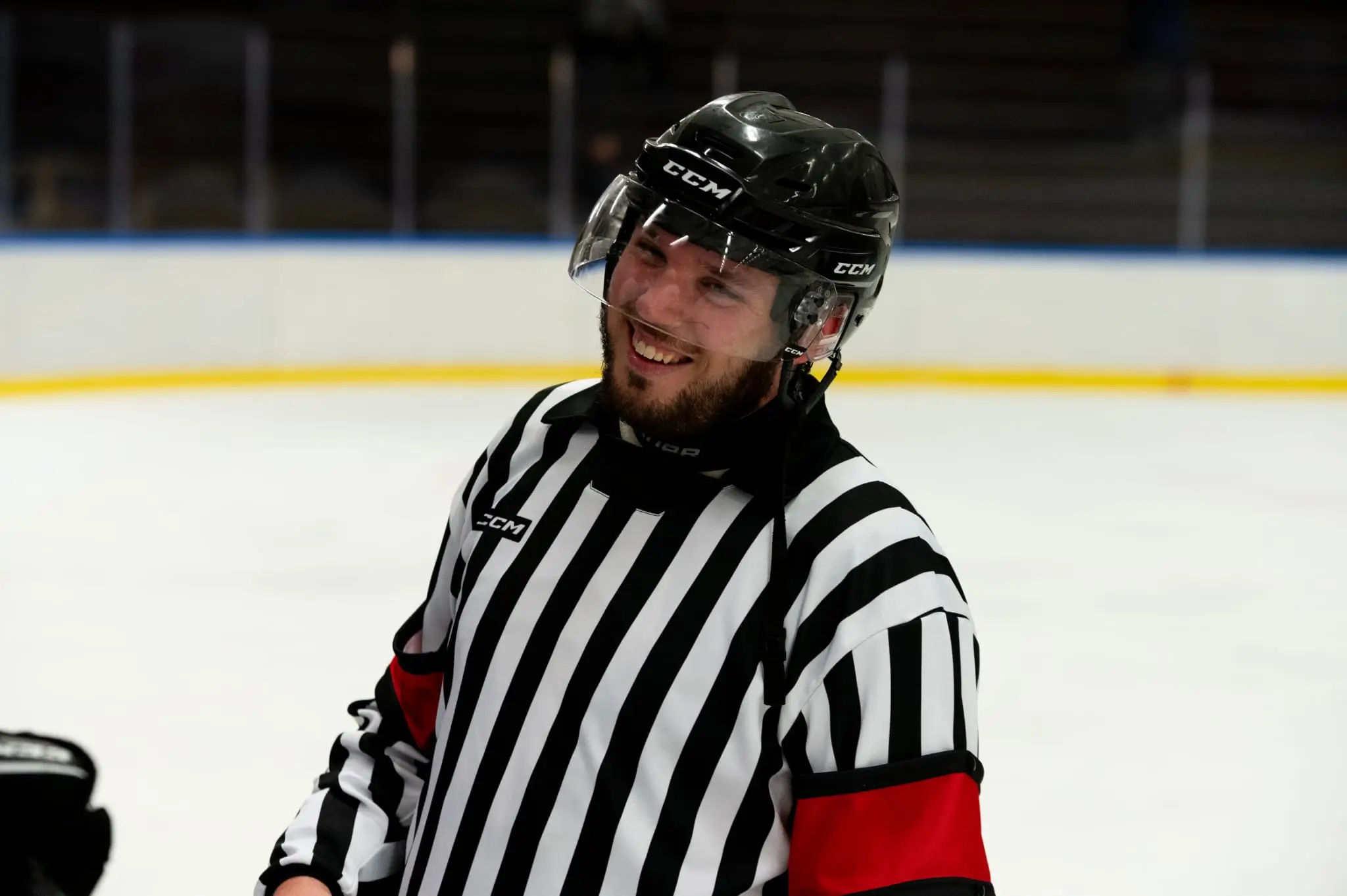Ishockeydomare